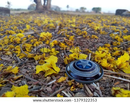 beautiful picture of yellow flowers and a object .