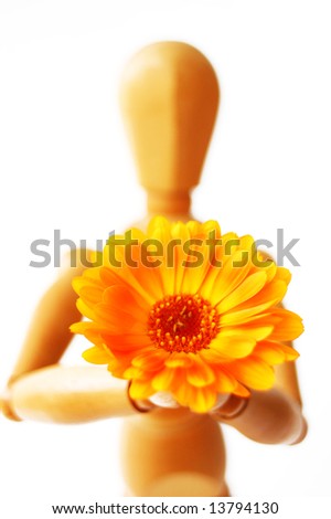 Wooden puppet with flower isolated on white, say's "I'm sorry, I love you"