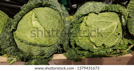
fresh cabbage in the market