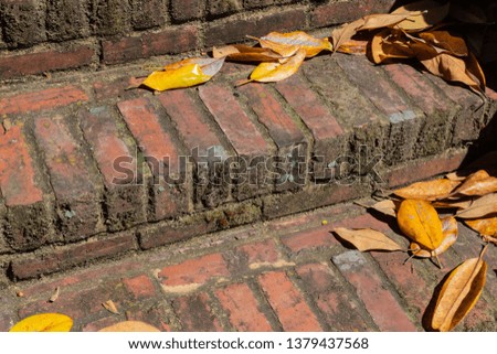 Very old brick steps covered in dirt and moss, leaf litter, horizontal aspect
