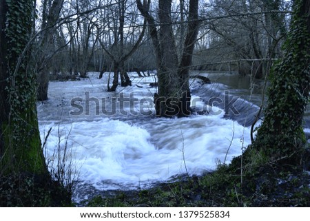 Landscape of a river with a lot of water crossing by a forest out of its riverbed