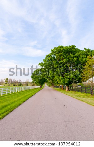 Country road surrounded the horse farms at spring.
