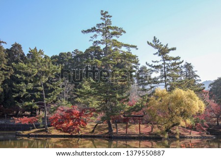 view of garden in autumn in japan