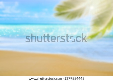 Blur abstract background. Green palm leaf on tropical beach with bokeh sun light and wave. Copy space for summer vacation and travel concept. 