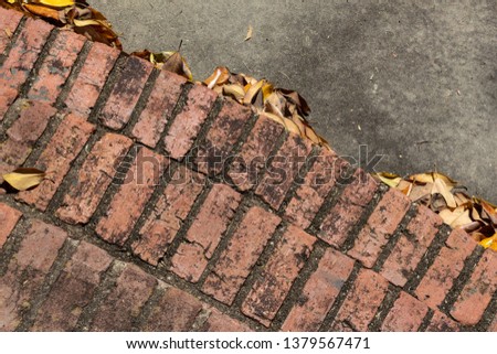 Overhead view of lightly curved brick stairs and concrete, dirty and in need of cleaning, leaf litter, horizontal aspect