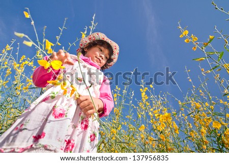 A little Asian girl picking in the yellow Sunn Hemp flower
