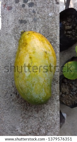 A pic of a Mango 