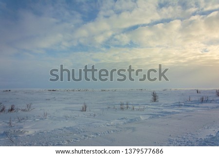 winter tundra, Russia, 2019
