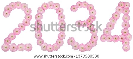 Inscription 2034, from natural pink flowers of almond tree, isolated on white background
