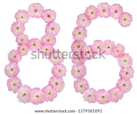 Numeral 86, eighty six, from natural pink flowers of almond tree, isolated on white background