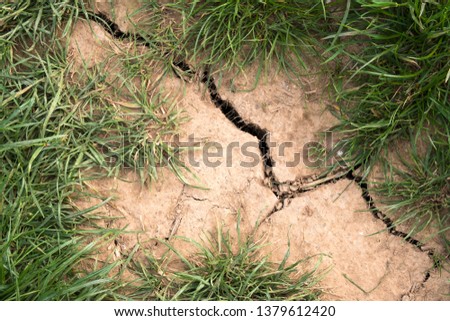Deep cracks in dry hard earth