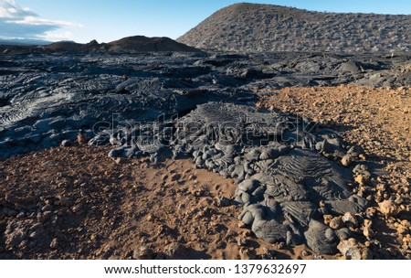 Galapagos Lava Field