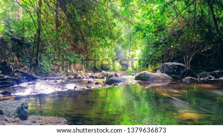 Quiet River in The Forest at Chang Wat Chanthaburi, Thailand