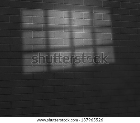 Gray Window Light on Brick Wall Studio Background