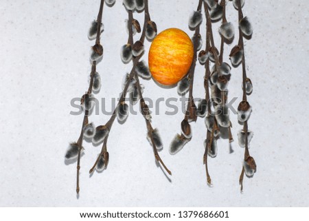 Orange egg among the branches of willow