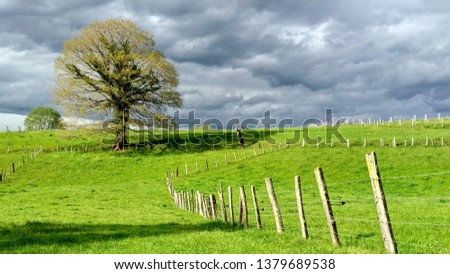 Meadows near Nava village, Asturias, Spain
