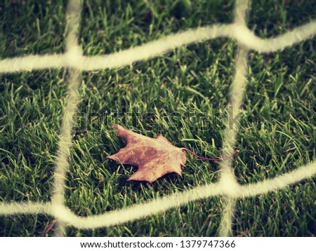 Mesh soccer playground with dry maple leaf. Picture of football net with green grass at the background
