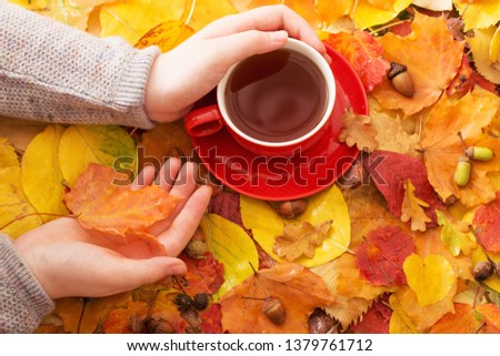 red cup of tea in hand on background autumn leaves