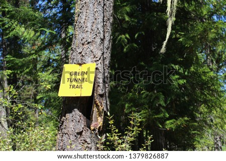Trailhead sign for a beautiful hiking path in BC, Canada on a bright summer day