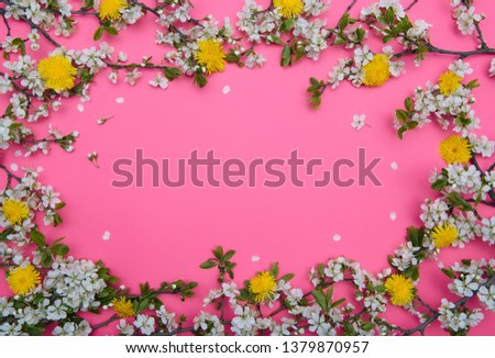 photo of spring white cherry blossom tree on pastel pink background. View from above, flat lay