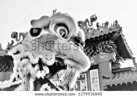 Blurred picture of Moving lion,Chinese lion dance for Chinese new year in yaowalat,Bangkok.Thailand 