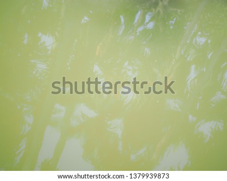 Water reflection of forest background