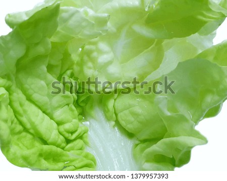 Fresh Chinese cabbage as a background, for cooking or salads, healthy food concept