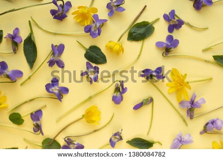 spring flowers pattern on yellow background. flat lay