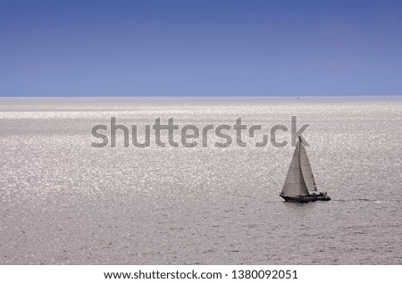 Single sail boat yacht sailing backlight sunny day