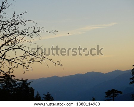Early morning view showing Pinus tree and mountains of Himalayas. Little clouds and little golden colour sky enhancing the beauty of dawn time. 