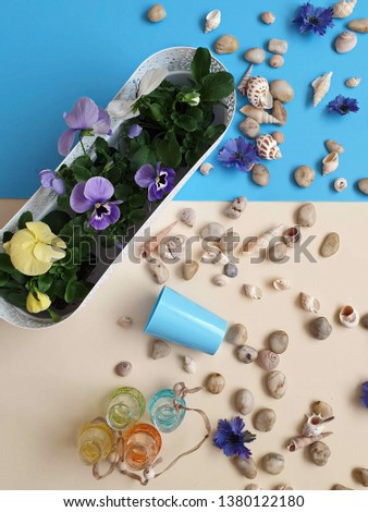 
Flowers Pansies in a flower pot  seasonal flowers shells sea stones water glass bottles still life spring summer beach gardening Floral modern background colorful abstract blue white yellow lilac cop