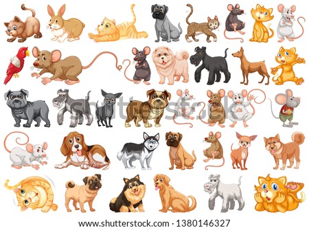 Set of pet character illustration