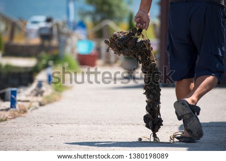 closeup picture of senior man carries a bag of fresh mussels