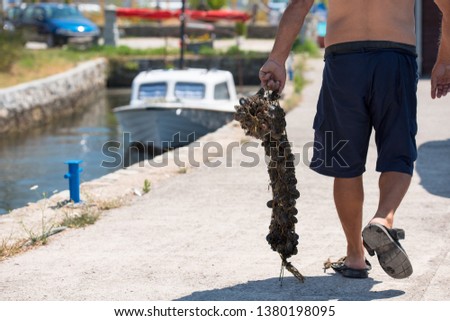 closeup picture of senior man carries a bag of fresh mussels