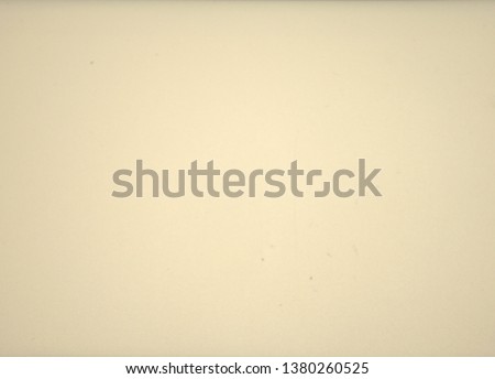 Pale beige monochrome background. Template, blank banner