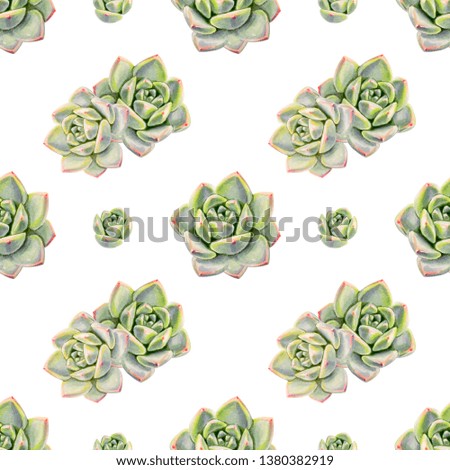 Beautiful green succulent seamless pattern. Bouquet of flowers. Floral texture. Marker drawing. Watercolor painting. Wedding and birthday. Flower painted background. Hand drawn illustration. Wallpaper