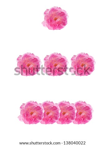 Dot, dash, minus, three dots, dashes - made  of pink roses. Isolated.