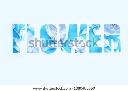 Lettering flower with white different paper flowers