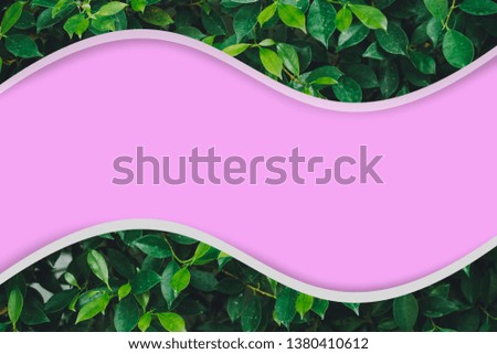 Green leaf design on Pink background concept.