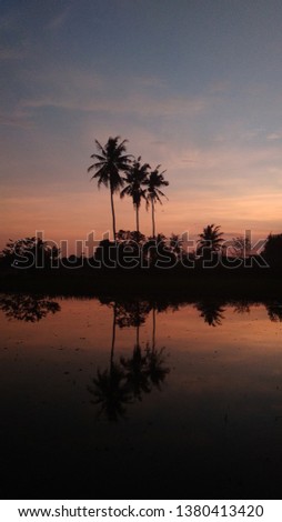 sunset reflection coconut trees background 