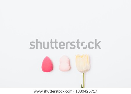 Cosmetic sponges for applying powder and foundation makeup next to delicate tulip flower, flat lay on white background with copy space.