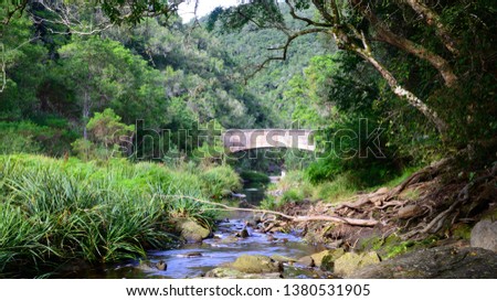 Mountain stream with bridge in the Garden Route, South Africa