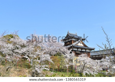 Japanese castele  Nara Japan