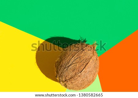 Brown coconut on multicolored graphic orange yellow green background. Hard light harsh shadows. Creative food poster. Healthy oil for skin body care