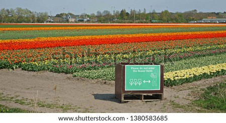 Sign with forbidden to enter the tulip fields to protect the flowers against the big number of tourists, who like to make photos between the tulip beds