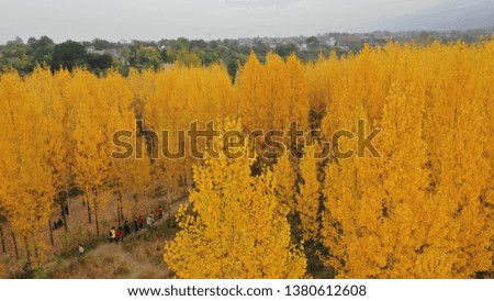 Autumn in Northwest China