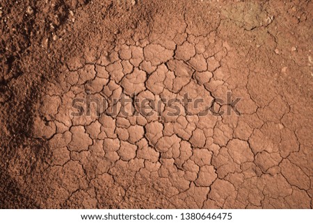The red soil on the earth formed many cracks of the turtle due to drought.