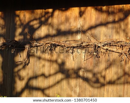 shadow on the wooden hall