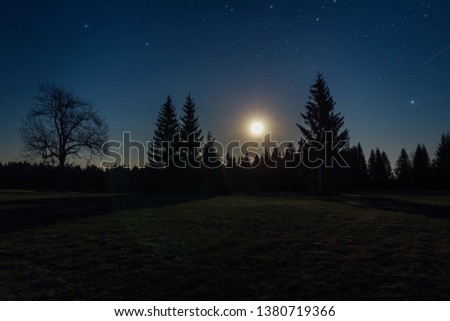 Nice star night with trees and moon in Novohradske hory, Czech landscape