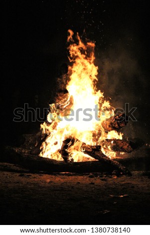 Bonfire at night in the wood.